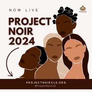 Project Noir by Enlightened Solutions