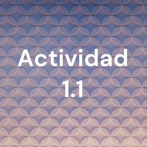 Actividad 1.1