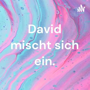 David mischt sich ein.