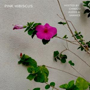 Pink Hibiscus