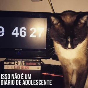 Isso NÃO É um Diário de Adolescente