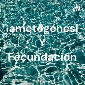 Gametogénesis Y Fecundación