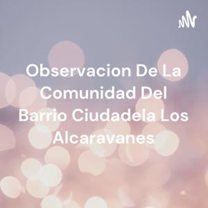 Observacion De La Comunidad Del Barrio Ciudadela Los Alcaravanes