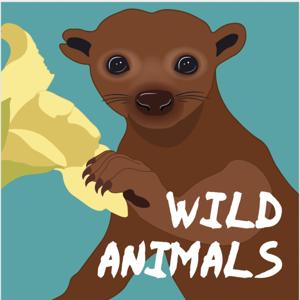 Wild Animals