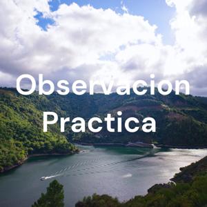 Observacion Practica