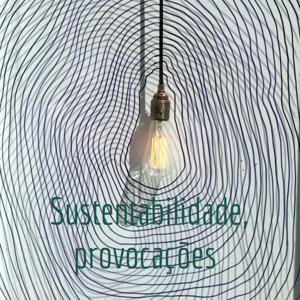 Sustentabilidade, Povocações