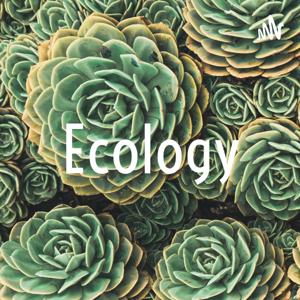 Ecology by Delanie Steeve