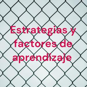 Estrategias y factores de aprendizaje