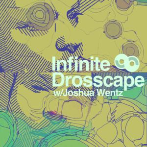 Infinite Drosscape with Joshua Wentz