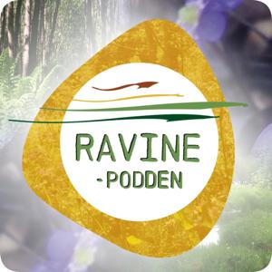 Ravinepodden