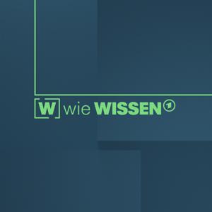 W wie Wissen