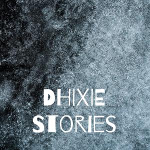 DHIXIE Stories