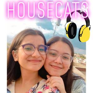 HOUSECATS