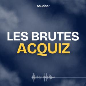 Les Brutes Acquiz by Coudac (ex les brutes e-commerce) by Théo Lion