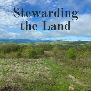 Stewarding the Land