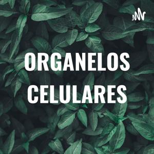 ORGANELOS CELULARES