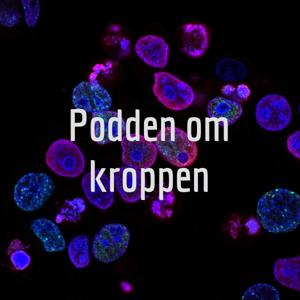 Podden om kroppen