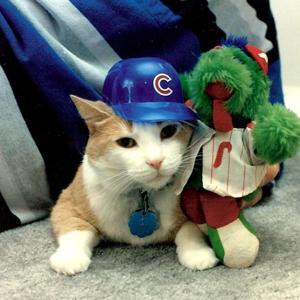 Top 10 signs seen on ESPN College Gameday