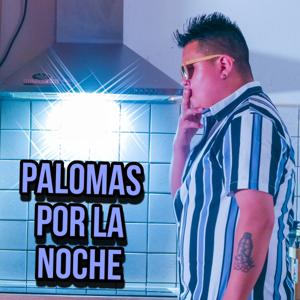 Palomas Por La Noche