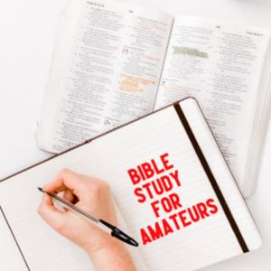 Bible Study for Amateurs