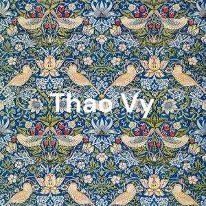 Thao Vy - dan cac bai nhac