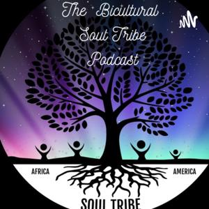 The Bicultural Soul Tribe NIGERIAN AND BLACK AMERICAN