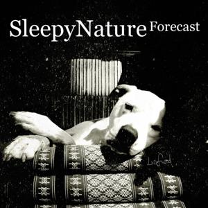 Sleepy Nature Forecast