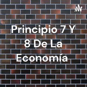 Principio 7 Y 8 De La Economía