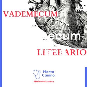 Vademecum literario