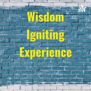 Wisdom Igniting Experience