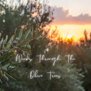 Winds Through The Olive Trees