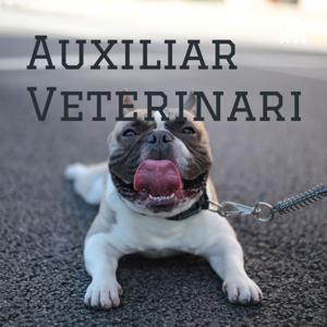 Auxiliar Veterinaria