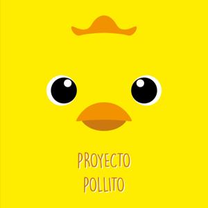 Proyecto Pollito