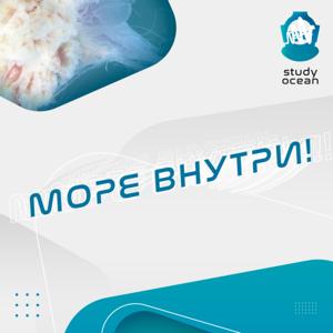 Море внутри | Study ocean