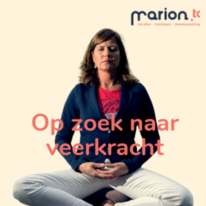 Op zoek naar Veerkracht