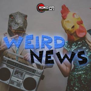 KDKD Weird News