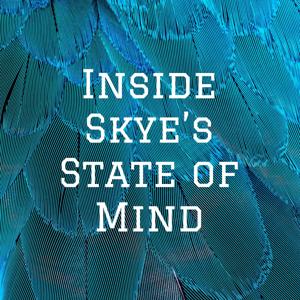 Inside Skye's State of Mind