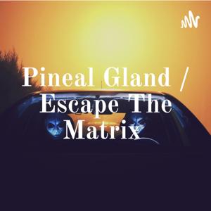 Pineal Gland / Escape The Matrix