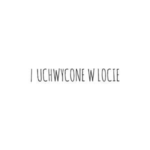 Uchwycone w locie