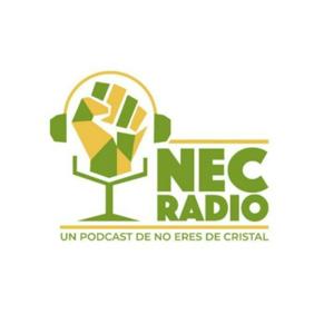 Nec Radio