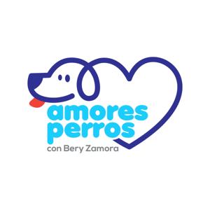 Amores Perros