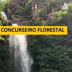 Concurseiro Florestal Amador