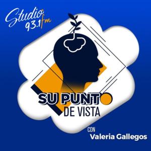 Su Punto de Vista