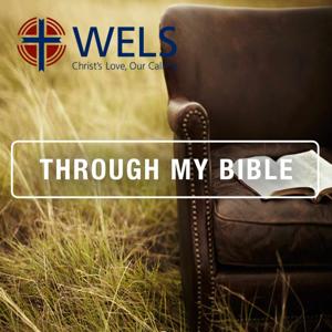 WELS Through my Bible in Three Years by WELS