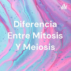 Diferencia Entre Mitosis Y Meiosis