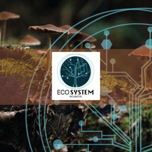 The Ecosystem Incubator - Fashion in living systems