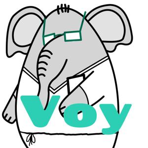 Voy