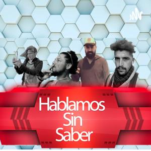 Hablamos sin saber