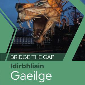 Bridge the Gap: Gaeilge don Idirbhliain