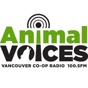 Animal Voices